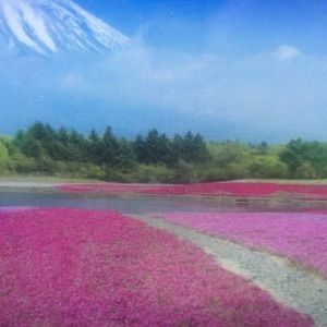 Meet your Posher, Dana